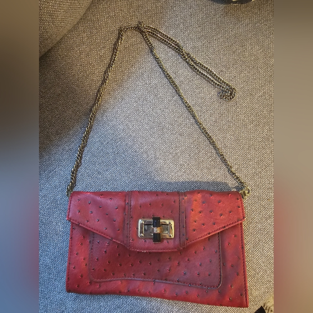 Danielle Nicole red gold chain crossbody bag